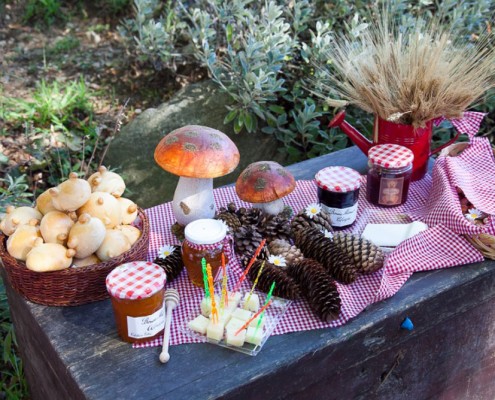 Feste di compleanno a tema per bambine