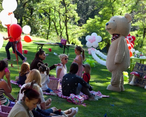 Pic Nic Party Teddy Bear