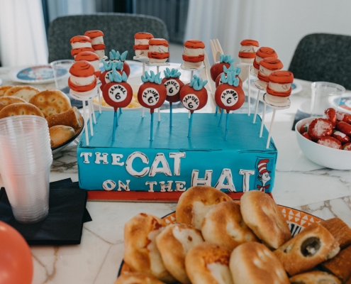 The Cat in the Hat party