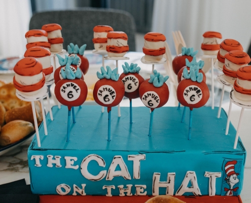 The Cat in the Hat party