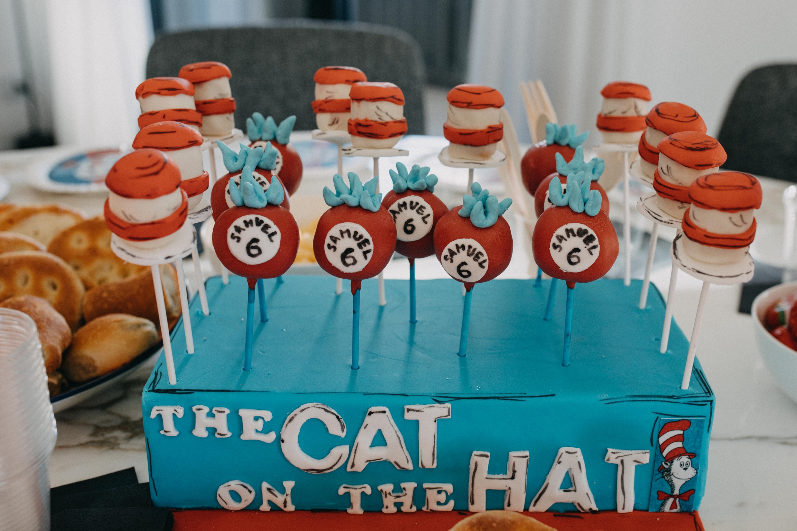 The Cat in the Hat party