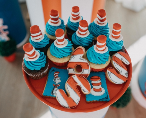 The Cat in the Hat party