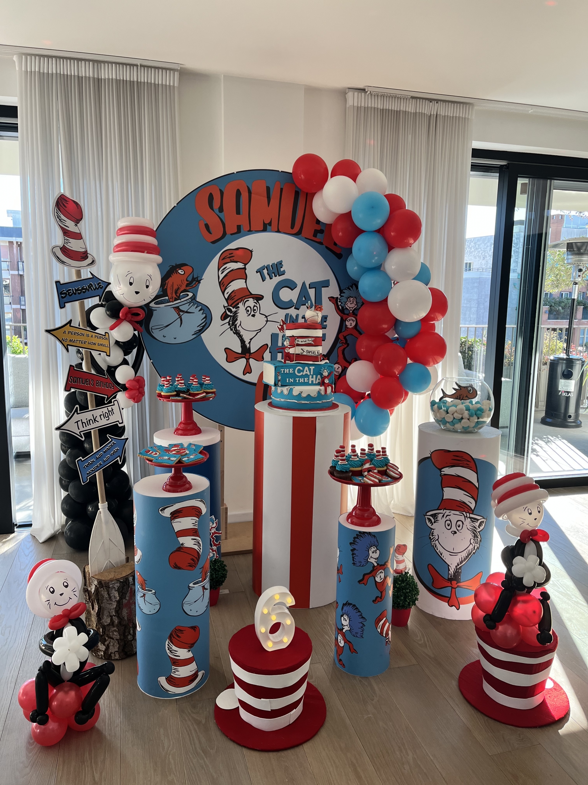 The Cat in the Hat party