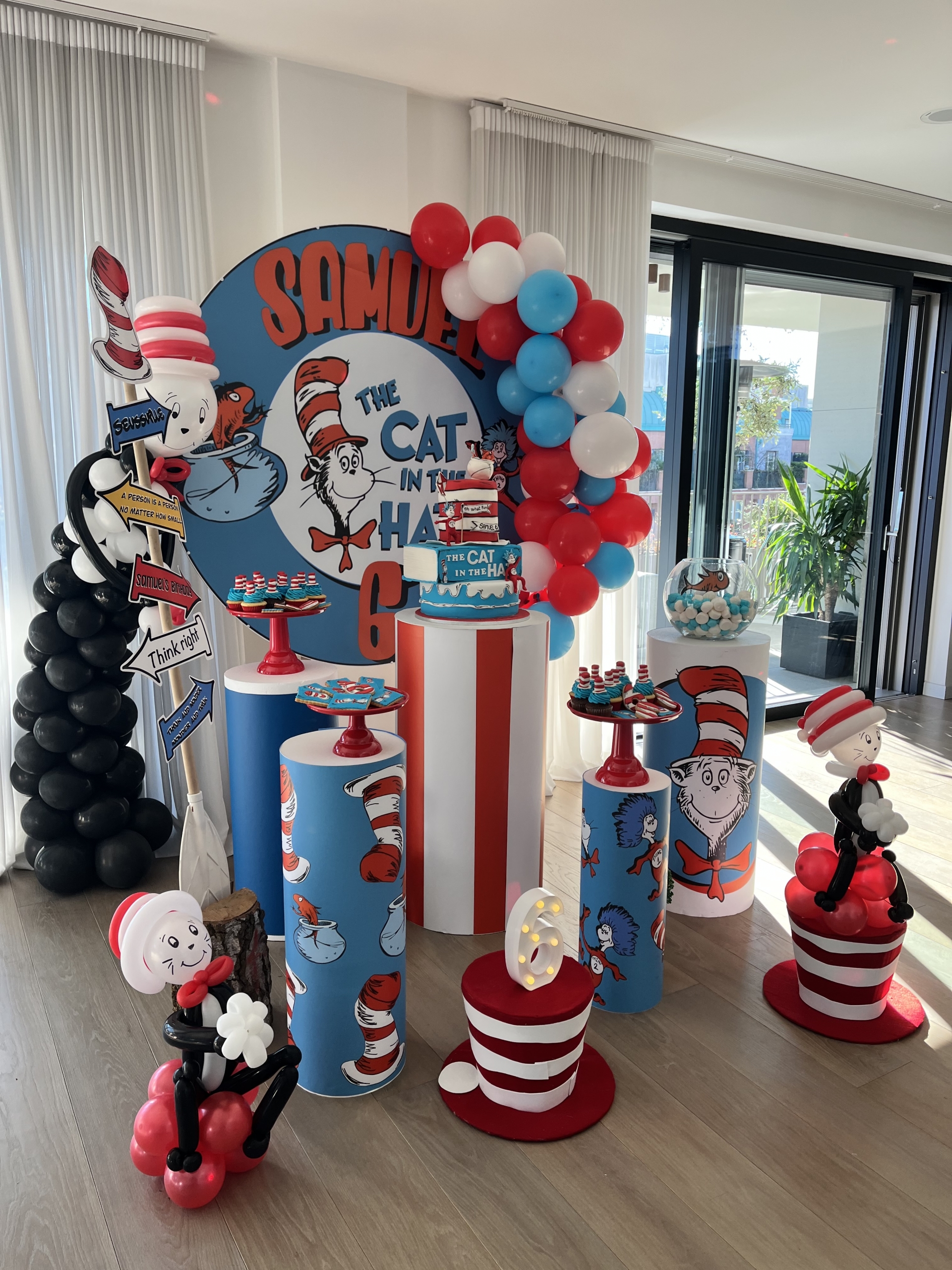The Cat in the Hat party