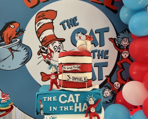 The Cat in the Hat party