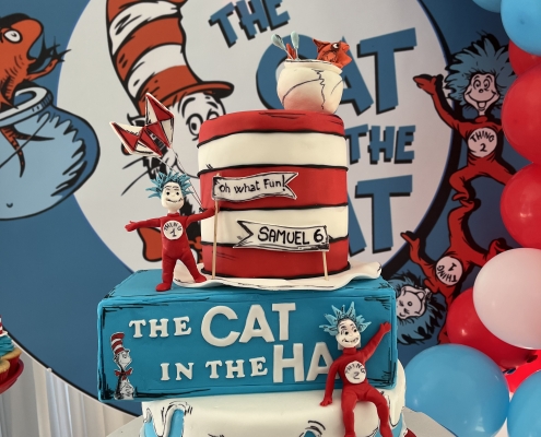 The Cat in the Hat party