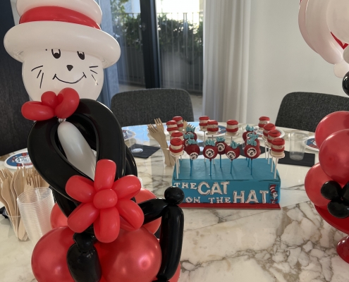 The Cat in the Hat party