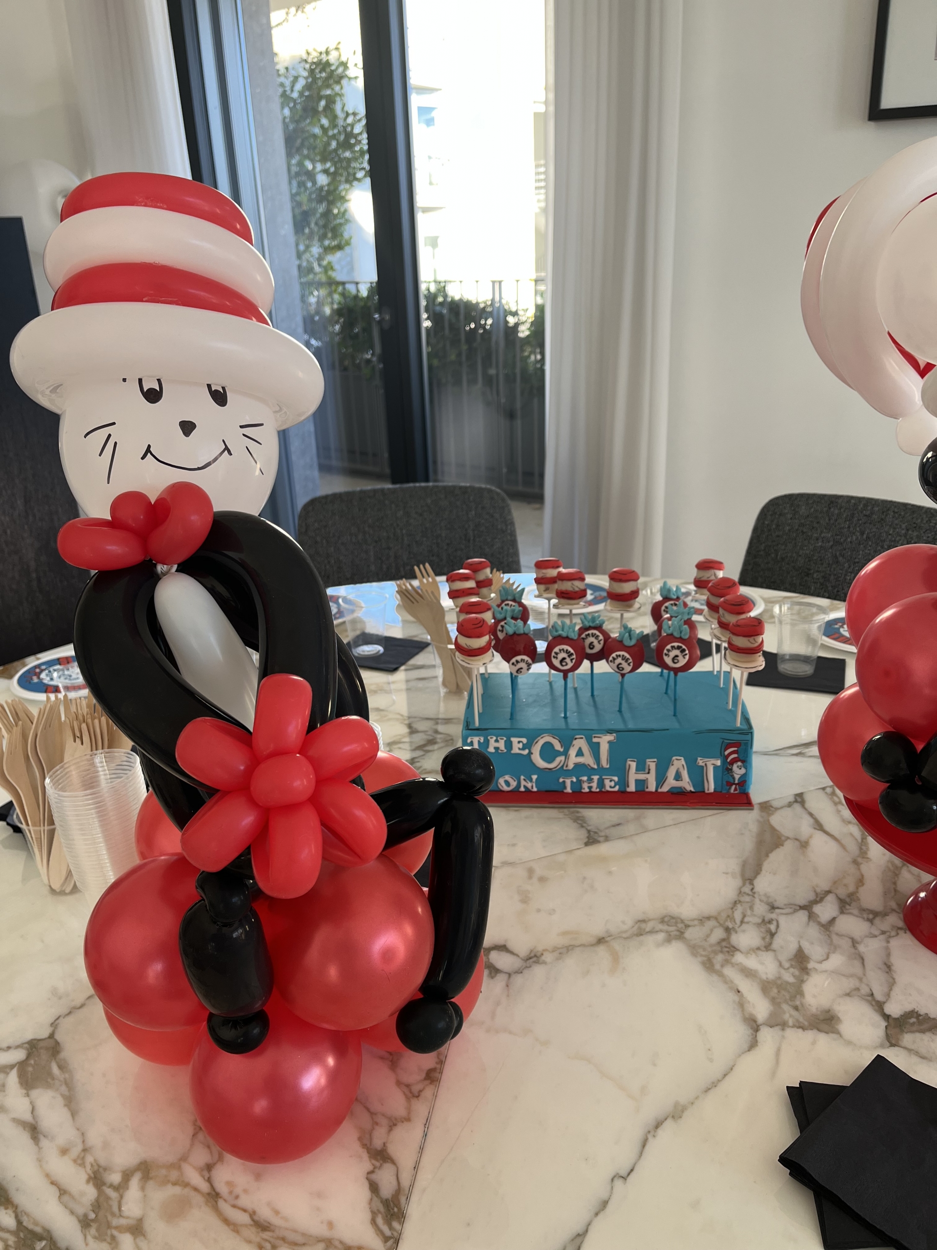 The Cat in the Hat party