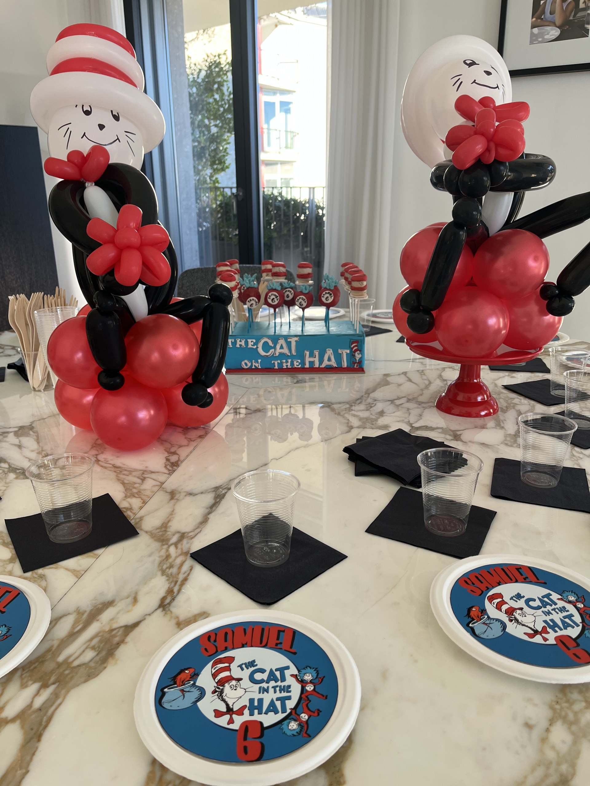 The Cat in the Hat party